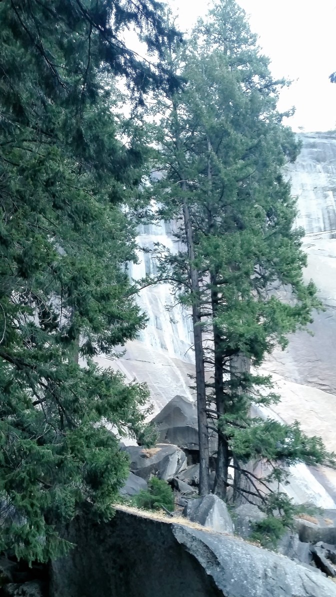 trees-with-vernal-fall-in-background
