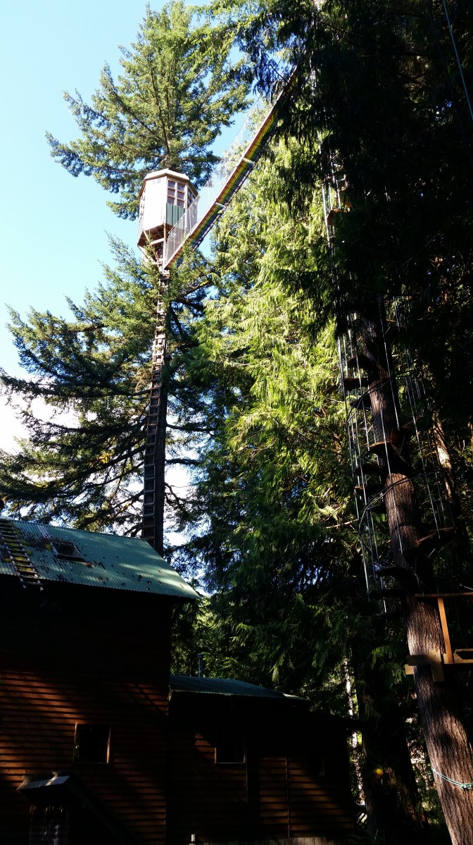 observatory-from-the-ground